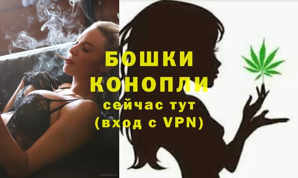 гидра Белокуриха