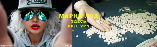 гидра Белокуриха