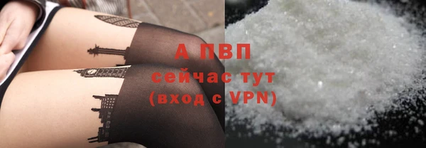 ECSTASY Белоозёрский