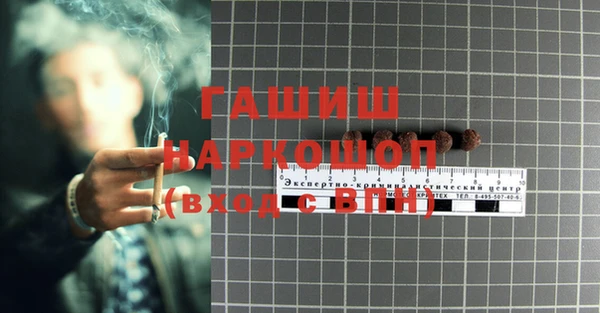 гидра Белокуриха