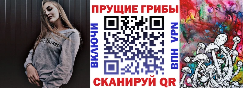 Галлюциногенные грибы GOLDEN TEACHER  omg зеркало  Иркутск 